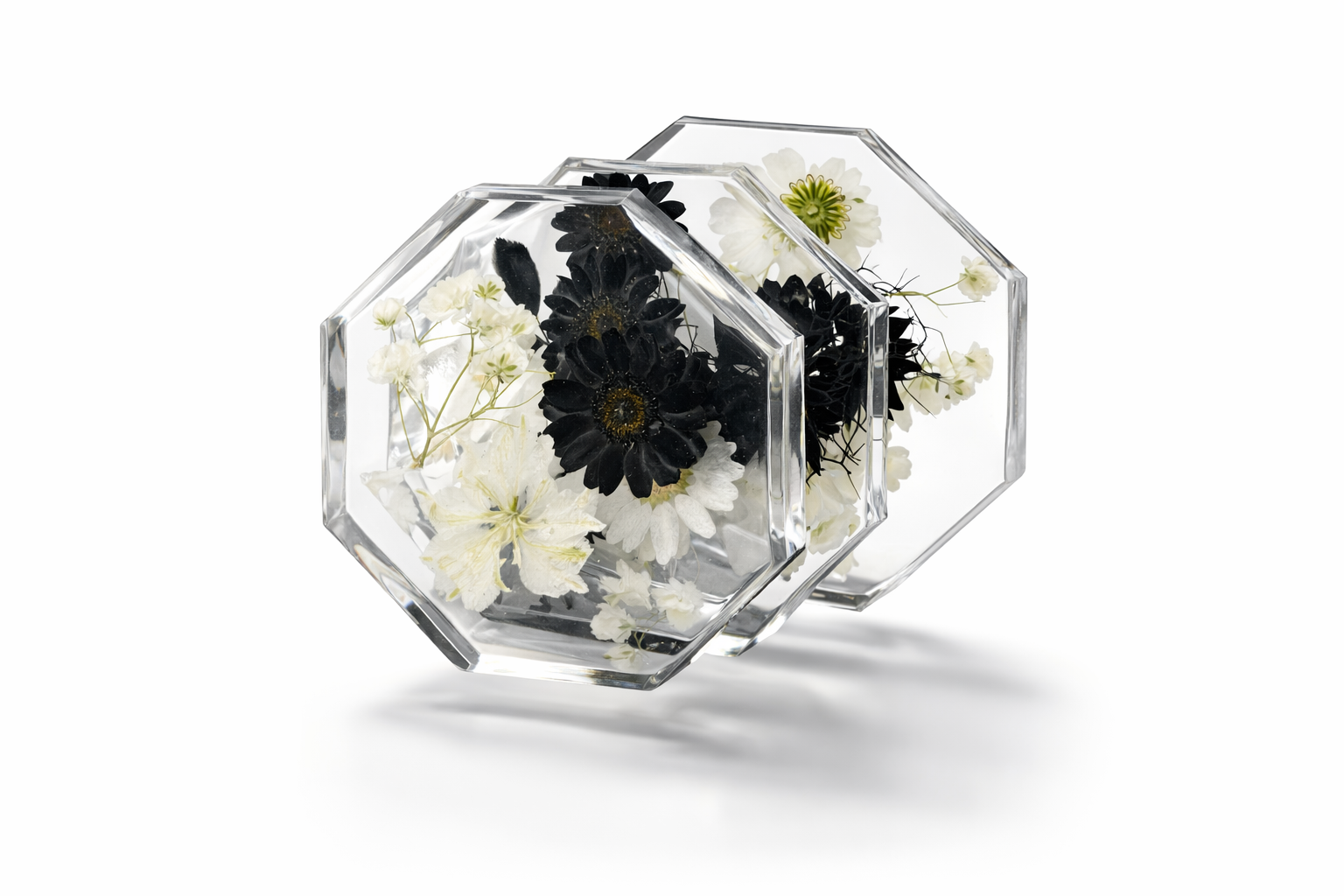 Clear geometric container with pressed flowers on a white background